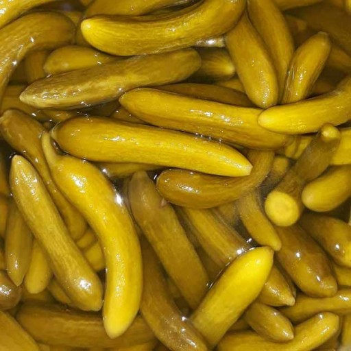  عکس خیارشور ویژه